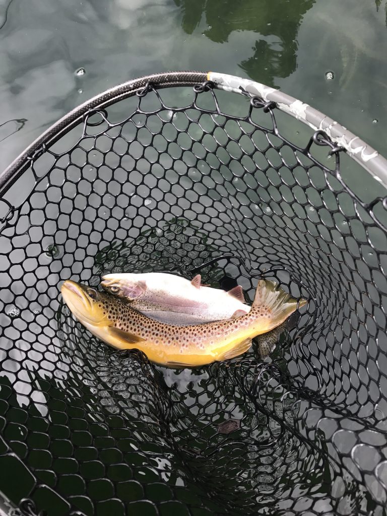 East Lake fishing report 9/26/17 — The Fly Fishers Place